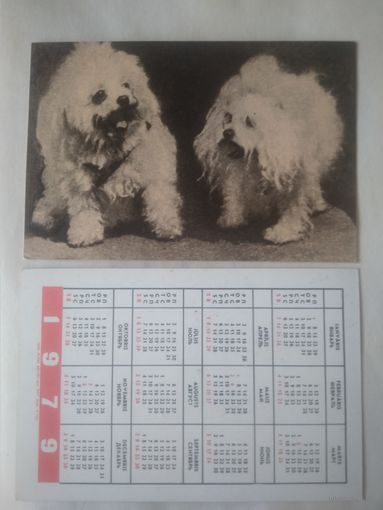 Карманный календарик. Собака.1979 год