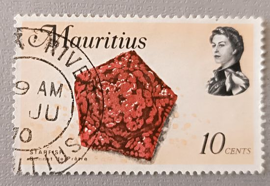 Рыбы, ракушки. Маврикий, 1969