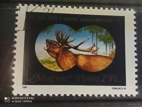 Венгрия 1981,100-летие Союза охотников Венгрии, серия из 1 марки