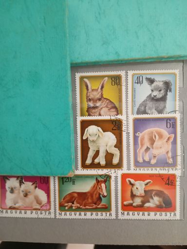 Фауна на почтовых марках