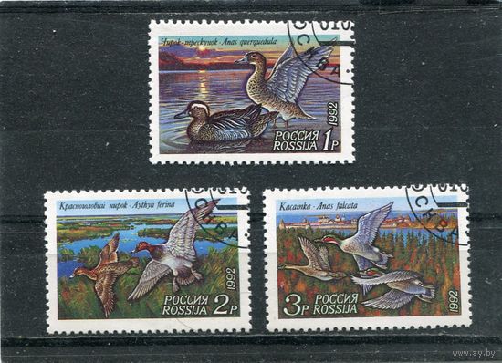 Россия 1992.. Фауна. Утки