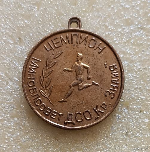 ДСО Красное знамя Чемпион Миноблсовет (жетон, тяж.мет.)