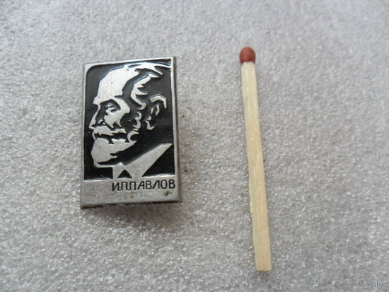 Павлов