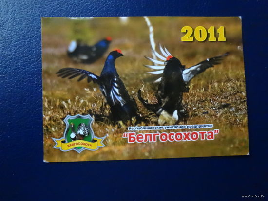 Календарик 2011 г.  Белгосохота.  Тетерев.