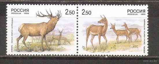 ФФ1 Россия 1999 Фауна