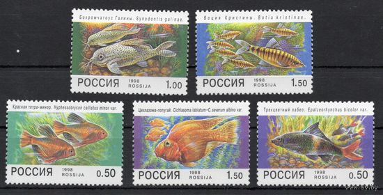 Россия 1998. Фауна. Аквариумные рыбы. 5 марок 425-29 (220)