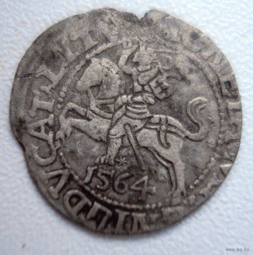 Полугрош 1564 г. Сигизмунд II Август.
