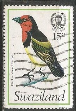 Свазиленд. Белозобый дрозд. 1976г. Mi#242.