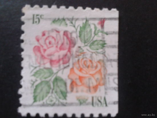 США 1978 стандарт, розы