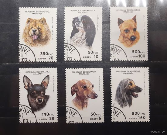Мадагаскар. 1991 год. Фауна. Собаки (570)