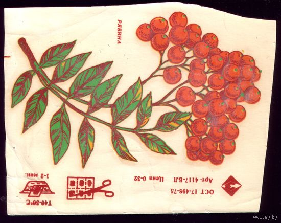 Переводная картинка Рябина
