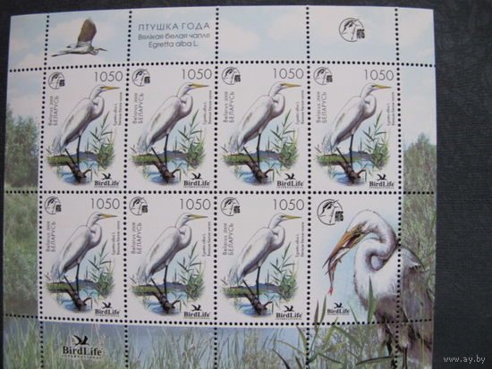 Марка Беларуси # 720. МЛ Птица года Большая белая цапля