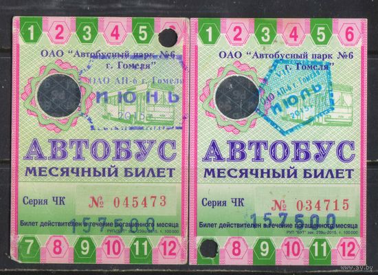 Месячные билеты Гомель 2015