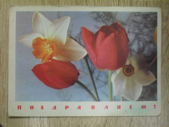 ПОДПИСАННАЯ ОТКРЫТКА СССР. "ПОЗДРАВЛЯЕМ" ФОТО. П. СМОЛЯКОВА. 1968 ГОД.