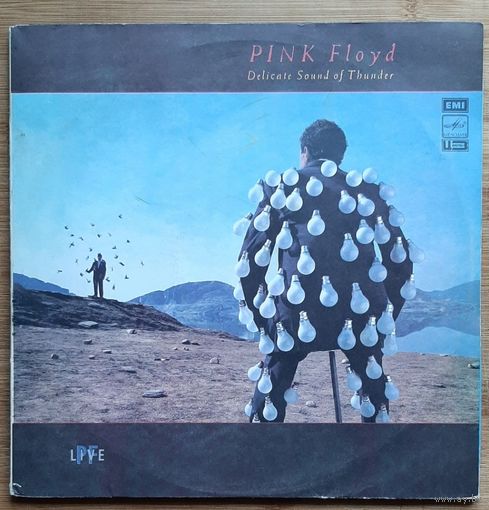 Pink Floyd - Delicate Sound Of Thunder