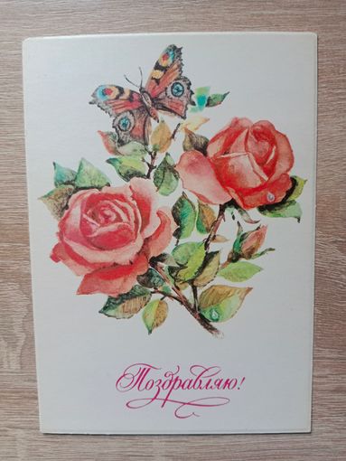 Манилова 1982 чистая