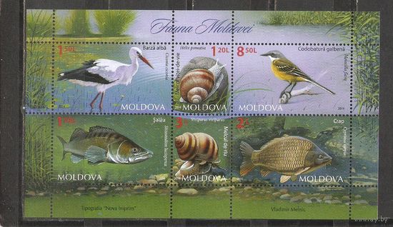 ФФ1 Молдова 2014 Фауна
