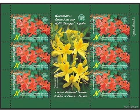 2015г Беларусь MNH  Малый лист "Рододендрон Академик Смольский"