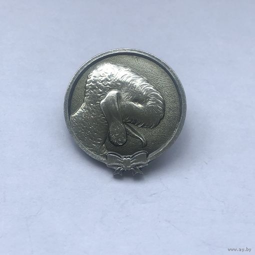 Овечка