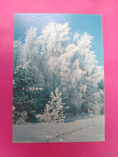 С новым годом! Чистая. 1990 года. Фото Дорожинского. *395.