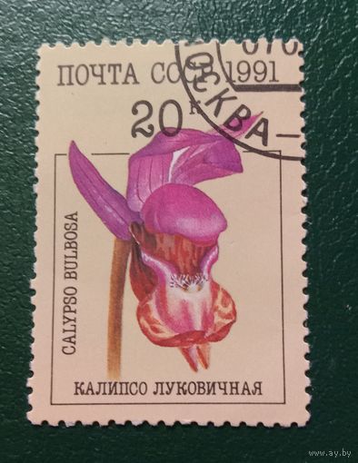 Марка СССР 1991 Орхидеи