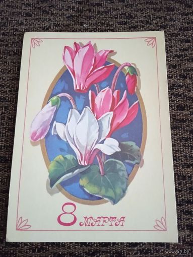 Куртенко 8 марта 1978