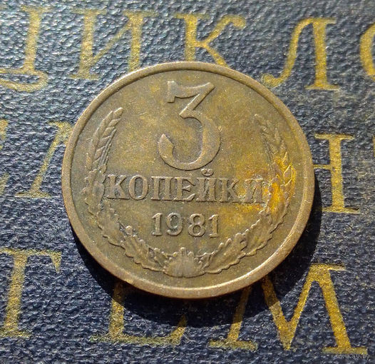 3 копейки 1981 СССР #23