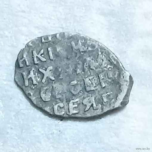 Чешуйка # 6-3