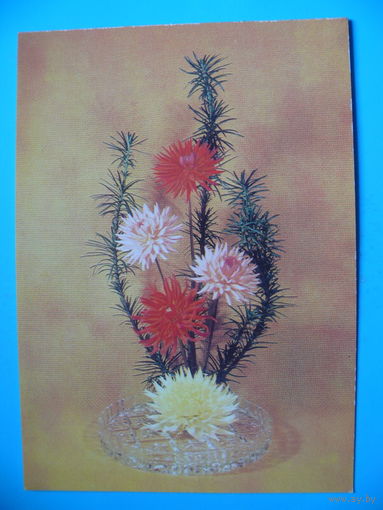 Анисонян Р.(фото), Цветы, 1983, чистая.