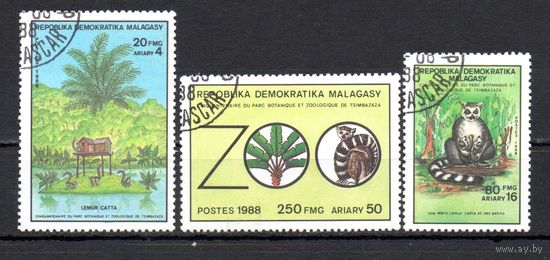 Обезьяны Зоопарк Мадагаскар 1988 год серия из 3-х марок