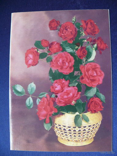 Фото Круцко Б., Цветы, 1990, двойная, чистая.