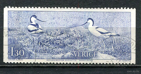 Швеция - 1978 - Птицы 1,30Kr - [Mi.1023] - 1 марка. Гашеная.  (Лот 60HP)-T2P42