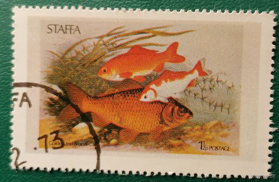 Шотландия остров Стаффа Рыбы 04