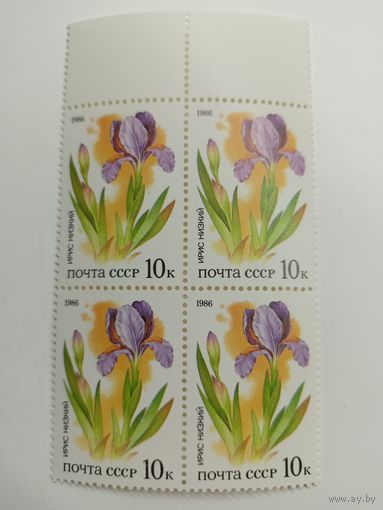 1986 СССР. Растения советских степей. Ирис низкий. Квартблок