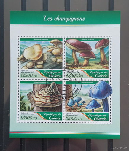 ЛИСТ ФЛОРА ЦВЕТЫ ГРИБЫ  СТО