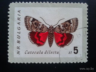Болгария 1962 бабочка