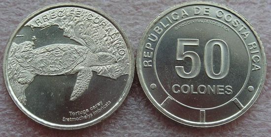Коста-Рика 50 колонов 2023 Черепаха Хоксбилл
