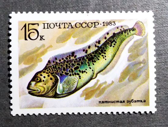 Марка СССР 1983 год Рыба