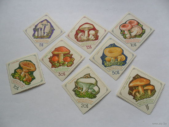 Монголия, грибы.