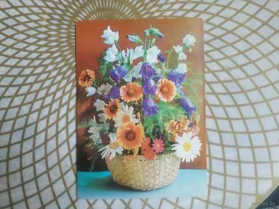 Открытка СССР 1981 год.   Чистая. Г.Костенко . Состояние на скане.