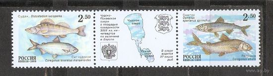 ФФ1 Россия 2000 Рыбы