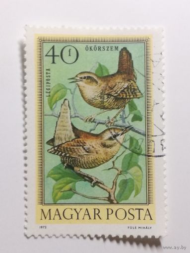 Венгрия 1973. Птицы