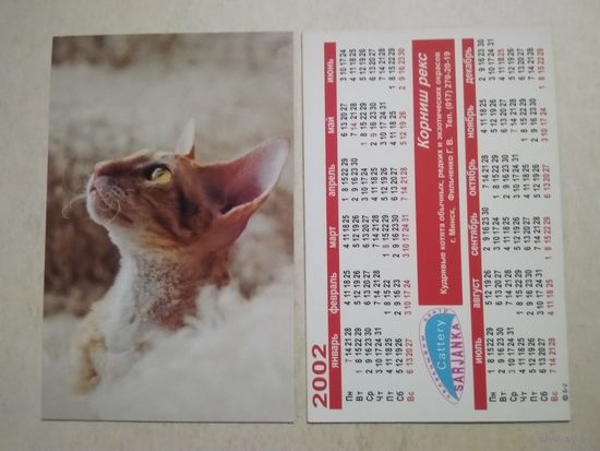 Карманный календарик . Котик. 2002 год