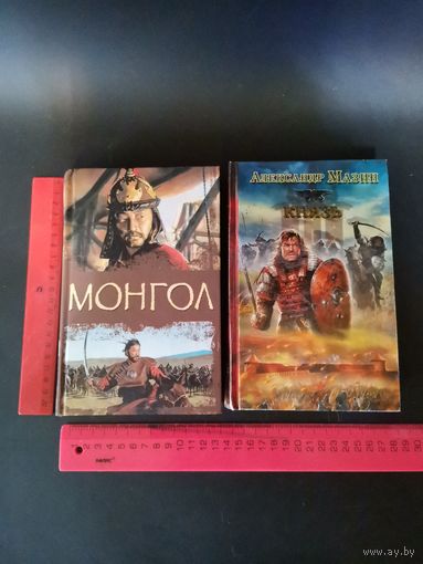 Книга (одним лотом).