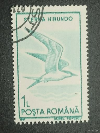 Румыния 1991. Птицы. Речная крачка