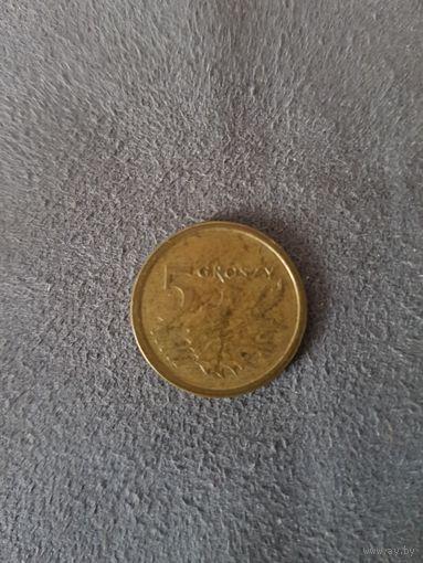 5 Грошей 2014
