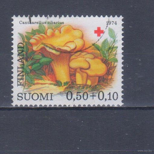 [2292] Финляндия 1974. Грибы.Лисички. Гашеная марка.