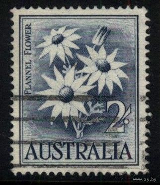 Австралия - 1959 [Mi. 299] Гашеная (AU05)