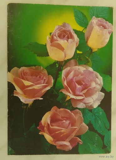 Телеграмма 1992 г. ,чистая