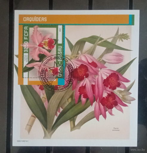 ЛИСТ ФЛОРА ЦВЕТЫ ГРИБЫ  СТО